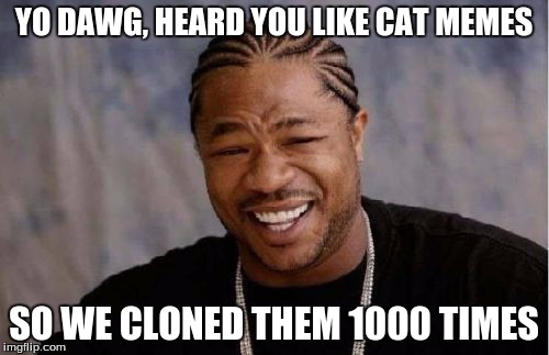 Yo Dawg Heard You Meme | YO DAWG, HEARD YOU LIKE CAT MEMES SO WE CLONED THEM 1000 TIMES | image tagged in memes,yo dawg heard you | made w/ Imgflip meme maker