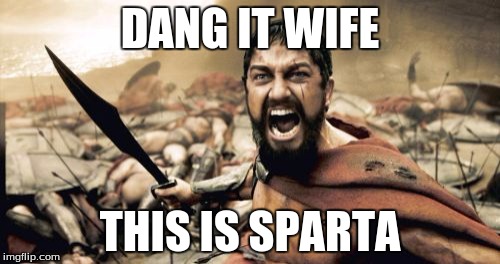 Sparta Leonidas | DANG IT WIFE; THIS IS SPARTA | image tagged in memes,sparta leonidas | made w/ Imgflip meme maker