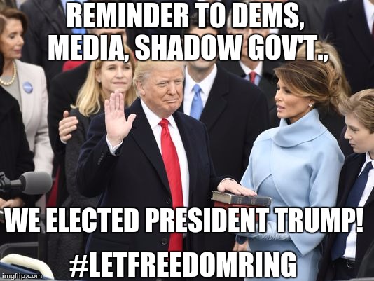 Trump Inauguration | REMINDER TO DEMS, MEDIA, SHADOW GOV'T., WE ELECTED PRESIDENT TRUMP! #LETFREEDOMRING | image tagged in trump inauguration | made w/ Imgflip meme maker