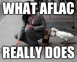 WHAT AFLAC; REALLY DOES | image tagged in goose | made w/ Imgflip meme maker