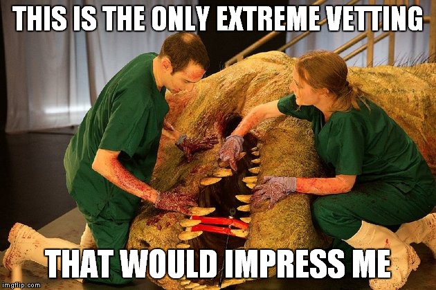 Extreme Vetting  | THIS IS THE ONLY EXTREME VETTING; THAT WOULD IMPRESS ME | image tagged in extreme vetting,donald trump | made w/ Imgflip meme maker