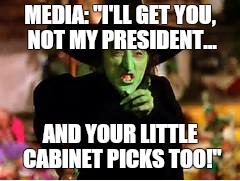 Wicked media of the west | MEDIA: "I'LL GET YOU, NOT MY PRESIDENT... AND YOUR LITTLE CABINET PICKS TOO!" | image tagged in donald trump | made w/ Imgflip meme maker