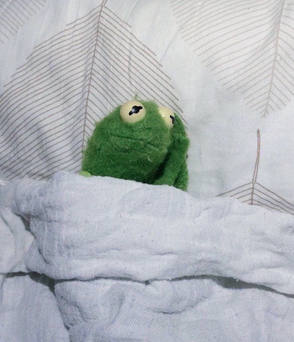 No "sad kermit bed" memes have been featured yet. 