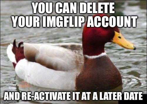 Malicious Advice Mallard Meme | YOU CAN DELETE YOUR IMGFLIP ACCOUNT; AND RE-ACTIVATE IT AT A LATER DATE | image tagged in memes,malicious advice mallard | made w/ Imgflip meme maker