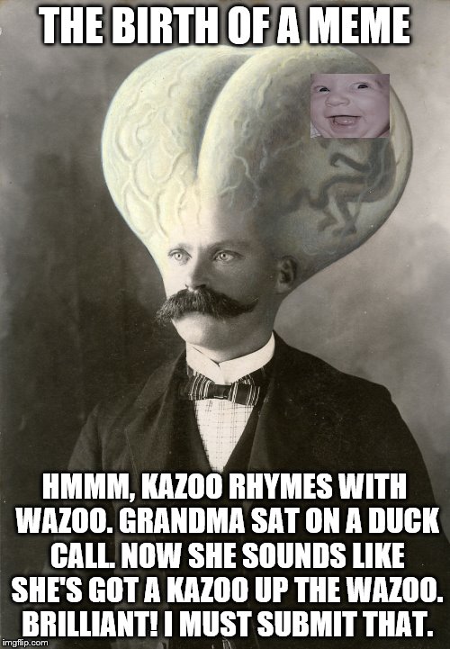 A Rare Glimpse Inside The Mind Of A Memer | THE BIRTH OF A MEME; HMMM, KAZOO RHYMES WITH WAZOO. GRANDMA SAT ON A DUCK CALL. NOW SHE SOUNDS LIKE SHE'S GOT A KAZOO UP THE WAZOO. BRILLIANT! I MUST SUBMIT THAT. | image tagged in memes | made w/ Imgflip meme maker