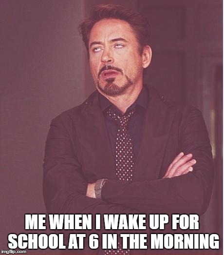 Face You Make Robert Downey Jr | ME WHEN I WAKE UP FOR SCHOOL AT 6 IN THE MORNING | image tagged in memes,face you make robert downey jr | made w/ Imgflip meme maker