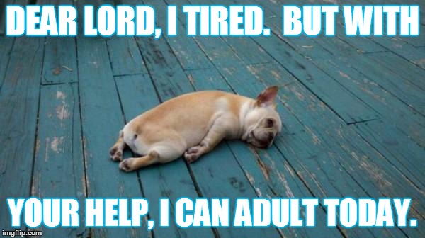 tired dog | DEAR LORD, I TIRED.  BUT WITH; YOUR HELP, I CAN ADULT TODAY. | image tagged in tired dog | made w/ Imgflip meme maker