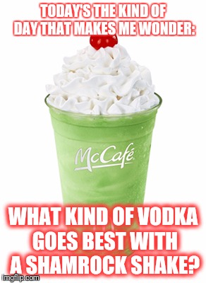 Shamrock | TODAY'S THE KIND OF DAY THAT MAKES ME WONDER:; WHAT KIND OF VODKA GOES BEST WITH A SHAMROCK SHAKE? | image tagged in shamrock | made w/ Imgflip meme maker
