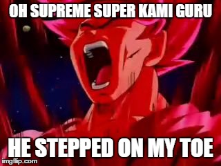 OH SUPREME SUPER KAMI GURU; HE STEPPED ON MY TOE | image tagged in my toe | made w/ Imgflip meme maker