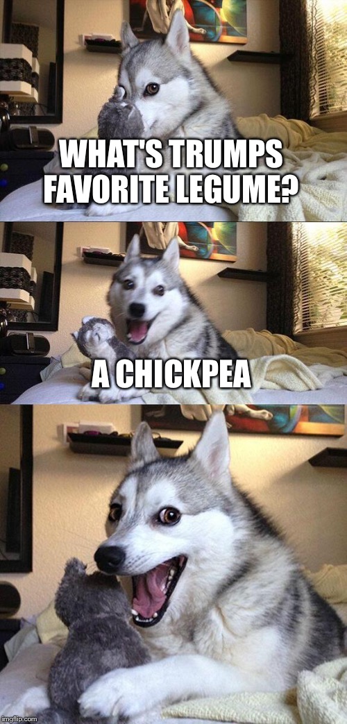 Bad Pun Dog Meme | WHAT'S TRUMPS FAVORITE LEGUME? A CHICKPEA | image tagged in memes,bad pun dog | made w/ Imgflip meme maker