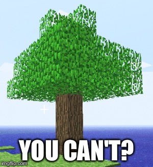 YOU CAN'T? | made w/ Imgflip meme maker