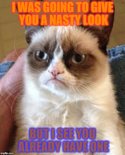 Grumpy Cat Meme | I WAS GOING TO GIVE YOU A NASTY LOOK; BUT I SEE YOU ALREADY HAVE ONE | image tagged in memes,grumpy cat | made w/ Imgflip meme maker