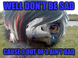 Emu Emu | WELL DON'T BE SAD CAUSE 2 OUT OF 3 AIN'T BAD | image tagged in emu emu | made w/ Imgflip meme maker