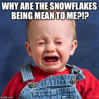 WHY ARE THE SNOWFLAKES BEING MEAN TO ME?!? | image tagged in alttard | made w/ Imgflip meme maker