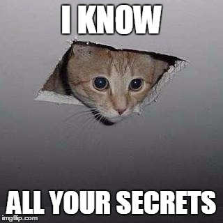 Ceiling Cat Meme | I KNOW; ALL YOUR SECRETS | image tagged in memes,ceiling cat | made w/ Imgflip meme maker