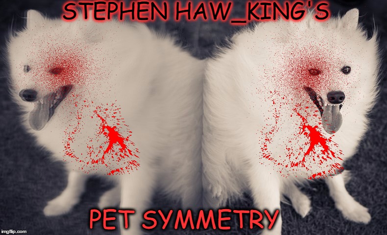 king/hawking collaboration "Pet Cemetery II"  | STEPHEN HAW_KING'S; PET SYMMETRY | image tagged in stephen king,stephen hawking,dogs,cemetery | made w/ Imgflip meme maker