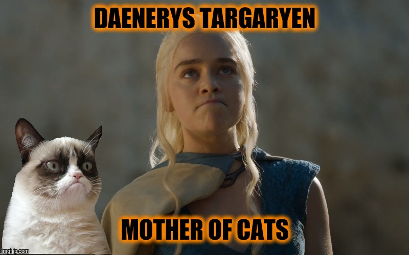 Khaleesi | DAENERYS TARGARYEN; MOTHER OF CATS | image tagged in memes,game of thrones | made w/ Imgflip meme maker