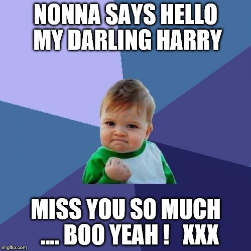 Success Kid Meme | NONNA SAYS HELLO MY DARLING HARRY; MISS YOU SO MUCH  .... BOO YEAH !   XXX | image tagged in memes,success kid | made w/ Imgflip meme maker
