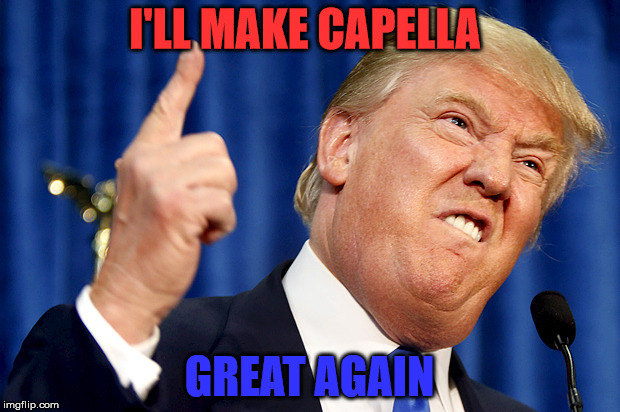Donald Trump | I'LL MAKE CAPELLA; GREAT AGAIN | image tagged in donald trump | made w/ Imgflip meme maker