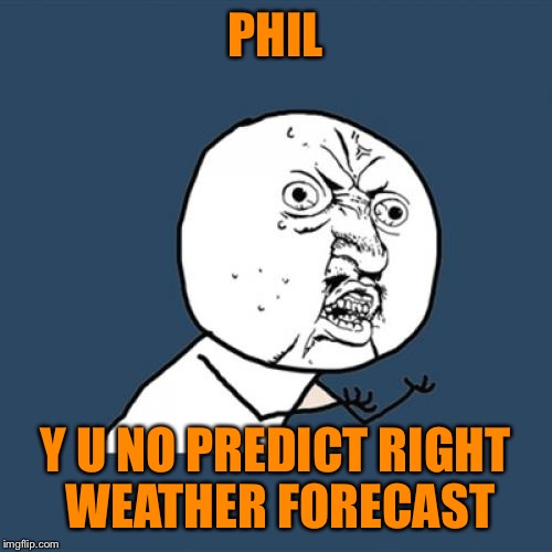 Y U No Meme | PHIL; Y U NO PREDICT RIGHT WEATHER FORECAST | image tagged in memes,y u no | made w/ Imgflip meme maker