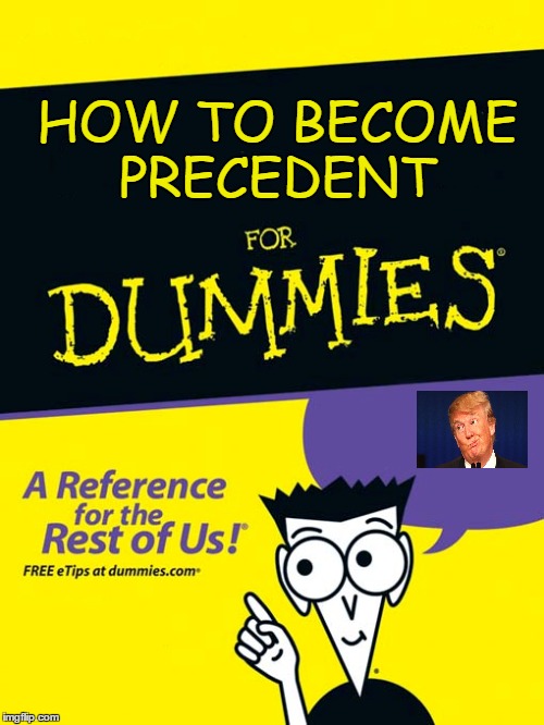 Informational  | HOW TO BECOME PRECEDENT | image tagged in funny memes,donald trump approves | made w/ Imgflip meme maker