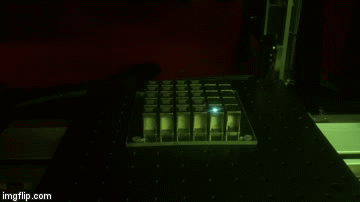 Logo Laser | image tagged in laser | made w/ Imgflip video-to-gif maker