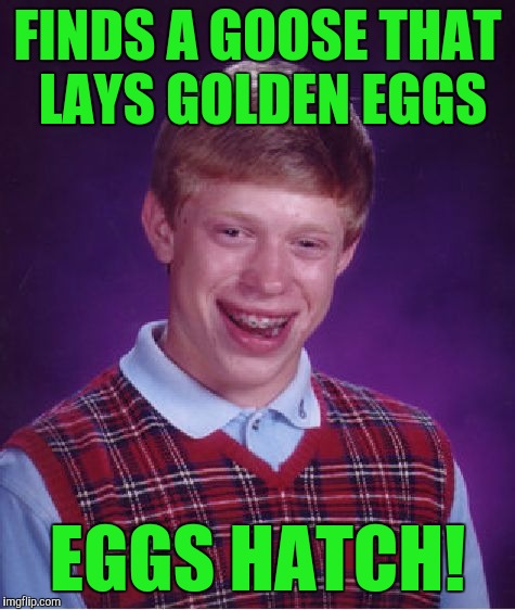 Bad Luck Brian Meme | FINDS A GOOSE THAT LAYS GOLDEN EGGS; EGGS HATCH! | image tagged in memes,bad luck brian | made w/ Imgflip meme maker