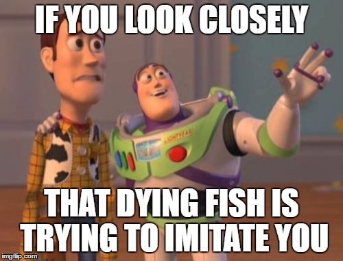 Cause he's dying. | IF YOU LOOK CLOSELY; THAT DYING FISH IS TRYING TO IMITATE YOU | image tagged in memes,x x everywhere | made w/ Imgflip meme maker