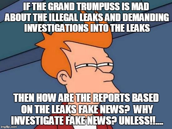 Futurama Fry | IF THE GRAND TRUMPUSS IS MAD ABOUT THE ILLEGAL LEAKS AND DEMANDING INVESTIGATIONS INTO THE LEAKS; THEN HOW ARE THE REPORTS BASED ON THE LEAKS FAKE NEWS?  WHY INVESTIGATE FAKE NEWS? UNLESS!!.... | image tagged in memes,futurama fry | made w/ Imgflip meme maker