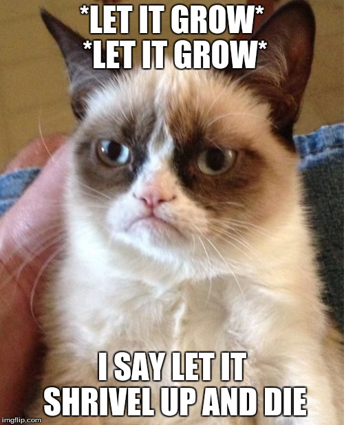 Grumpy Cat | *LET IT GROW* *LET IT GROW*; I SAY LET IT SHRIVEL UP AND DIE | image tagged in memes,grumpy cat | made w/ Imgflip meme maker