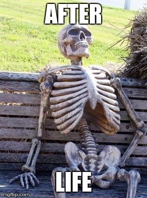 Waiting Skeleton Meme | AFTER; LIFE | image tagged in memes,waiting skeleton | made w/ Imgflip meme maker