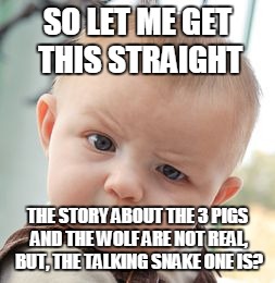 Skeptical Baby Meme | SO LET ME GET THIS STRAIGHT; THE STORY ABOUT THE 3 PIGS AND THE WOLF ARE NOT REAL, BUT, THE TALKING SNAKE ONE IS? | image tagged in memes,skeptical baby | made w/ Imgflip meme maker