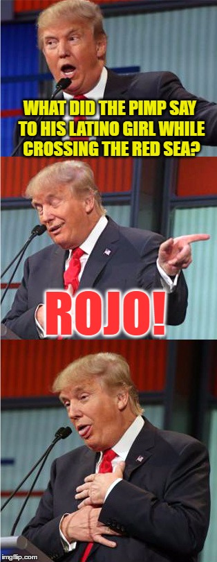 Bad Pun Trump |  WHAT DID THE PIMP SAY TO HIS LATINO GIRL WHILE CROSSING THE RED SEA? ROJO! | image tagged in bad pun trump | made w/ Imgflip meme maker
