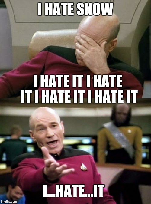 They say, "Hate" is a strong word. Sometimes it's not strong enough |  I HATE SNOW; I HATE IT I HATE IT I HATE IT I HATE IT; I...HATE...IT | image tagged in memes | made w/ Imgflip meme maker