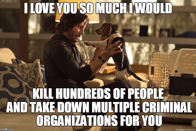 I love my dog. | I LOVE YOU SO MUCH I WOULD; KILL HUNDREDS OF PEOPLE AND TAKE DOWN MULTIPLE CRIMINAL ORGANIZATIONS FOR YOU | image tagged in john wick | made w/ Imgflip meme maker