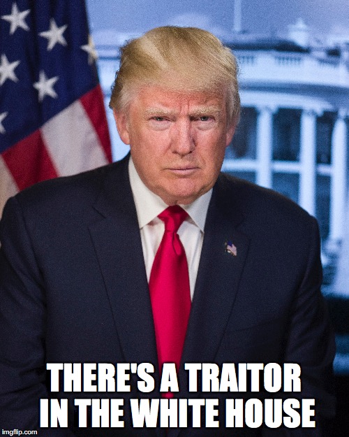 THERE'S A TRAITOR IN THE WHITE HOUSE | image tagged in donald trump | made w/ Imgflip meme maker