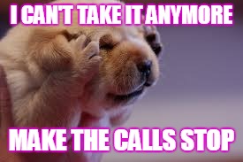 I CAN'T TAKE IT ANYMORE; MAKE THE CALLS STOP | image tagged in phone frustration | made w/ Imgflip meme maker