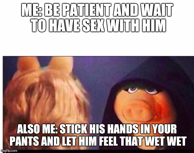 Dark Miss Piggy | ME: BE PATIENT AND WAIT TO HAVE SEX WITH HIM; ALSO ME: STICK HIS HANDS IN YOUR PANTS AND LET HIM FEEL THAT WET WET | image tagged in dark miss piggy | made w/ Imgflip meme maker