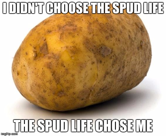 I am a potato | I DIDN'T CHOOSE THE SPUD LIFE; THE SPUD LIFE CHOSE ME | image tagged in i am a potato | made w/ Imgflip meme maker