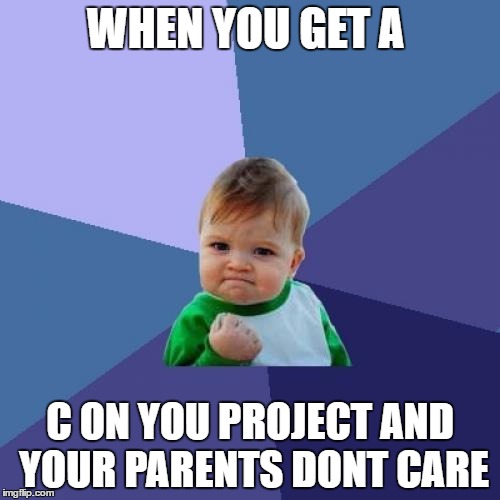 Success Kid | WHEN YOU GET A; C ON YOU PROJECT AND YOUR PARENTS DONT CARE | image tagged in memes,success kid | made w/ Imgflip meme maker