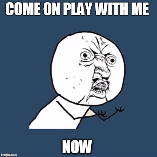 Y U No Meme | COME ON PLAY WITH ME; NOW | image tagged in memes,y u no | made w/ Imgflip meme maker