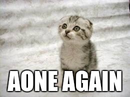 Sad Cat | AONE AGAIN | image tagged in memes,sad cat | made w/ Imgflip meme maker