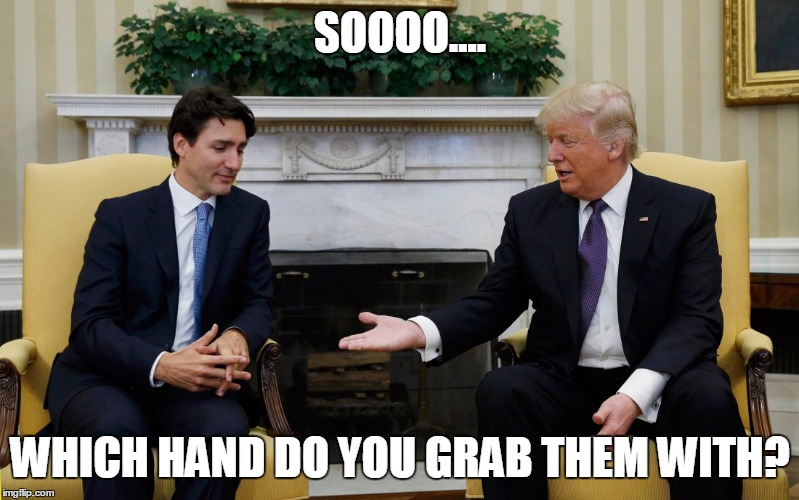 Trudeau Trump | SOOOO.... WHICH HAND DO YOU GRAB THEM WITH? | image tagged in trudeau trump | made w/ Imgflip meme maker
