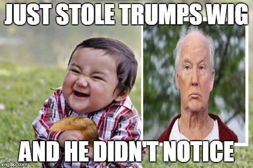 Evil Toddler | JUST STOLE TRUMPS WIG; AND HE DIDN'T NOTICE | image tagged in memes,evil toddler | made w/ Imgflip meme maker