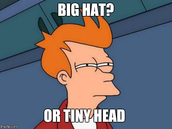 Futurama Fry Meme | BIG HAT? OR TINY HEAD | image tagged in memes,futurama fry | made w/ Imgflip meme maker