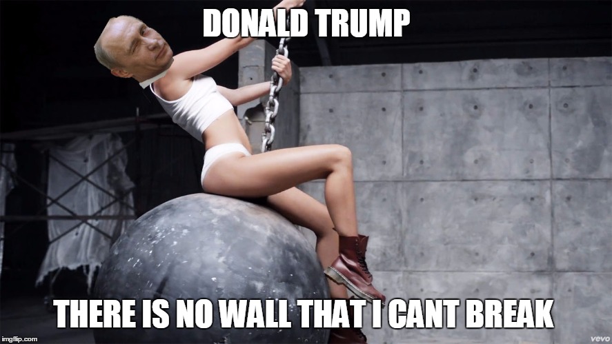 donald trump | DONALD TRUMP; THERE IS NO WALL THAT I CANT BREAK | image tagged in donald trump | made w/ Imgflip meme maker