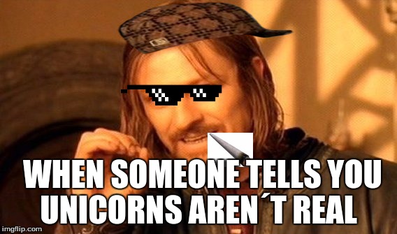 One Does Not Simply Meme | WHEN SOMEONE TELLS YOU; UNICORNS AREN´T REAL | image tagged in memes,one does not simply,scumbag | made w/ Imgflip meme maker