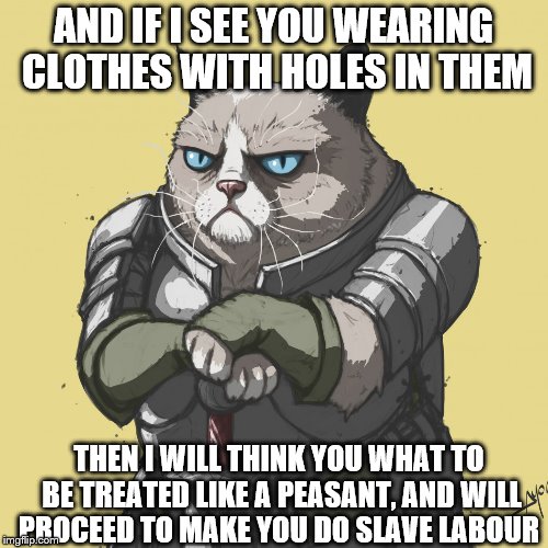 AND IF I SEE YOU WEARING CLOTHES WITH HOLES IN THEM THEN I WILL THINK YOU WHAT TO BE TREATED LIKE A PEASANT, AND WILL PROCEED TO MAKE YOU DO | made w/ Imgflip meme maker