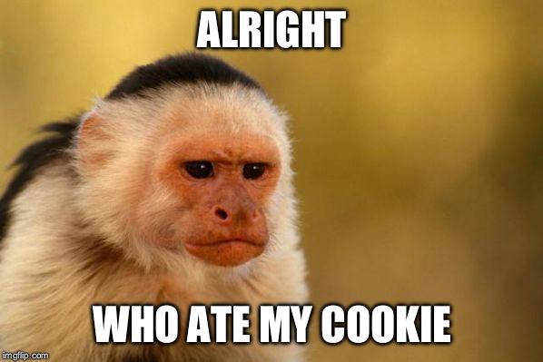 Cookies  | ALRIGHT; WHO ATE MY COOKIE | image tagged in cookies | made w/ Imgflip meme maker