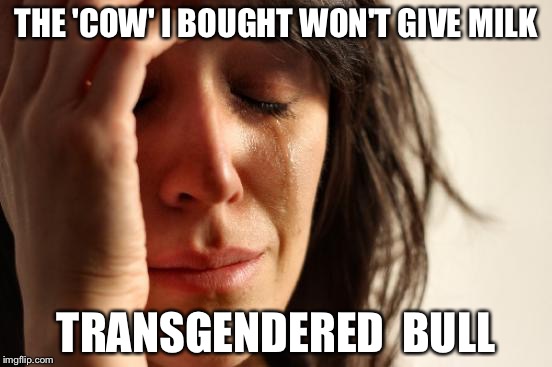 First World Problems Meme | THE 'COW' I BOUGHT WON'T GIVE MILK; TRANSGENDERED  BULL | image tagged in memes,first world problems | made w/ Imgflip meme maker